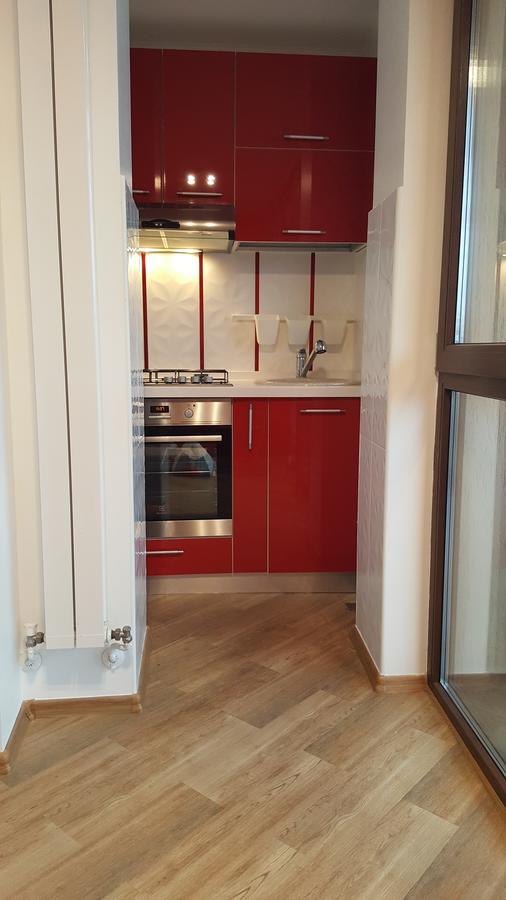 Grand View Apartment Μπρασόβ Εξωτερικό φωτογραφία
